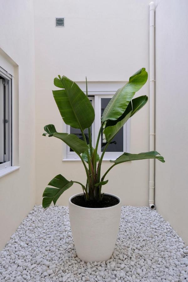 Ferienwohnung Urban Oasis La Palma Santa Cruz de la Palma  Exterior foto